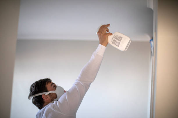 Best Mold Cleaning Services  in Smith Valley, NV